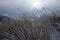 Mt. Aso and Kusasenri grassland in winter