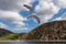 Mt Athos - White seagull flying along the coastline of peninsula Athos, Chalkidiki, Central Macedonia, Greece, Europe