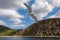 Mt Athos - White seagull flying along the coastline of peninsula Athos, Chalkidiki, Central Macedonia, Greece, Europe