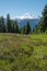 Mt Baker and flowering pink heather from High Divide Trail