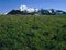 Mt. Baker and meadow from the Skyline Divide Trail, North Cascade Range, Washington