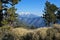 Mt. Baldy, California