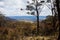 Mt Boyce Lookout, Blackheath, Blue Mountains, Australia