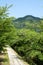 Mt. Daimonji and Canal of fresh verdure near Ginkakuji-michi, Kyoto, Japan