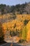 Mt Evans road in Colorado in Autumn time