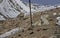 On Mt. Evans, wild goats lies around in the sunshine.