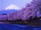 Mt fuji-233