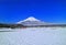 Mt.Fuji in April with a clear blue sky and snowy scenery from Oshino Village