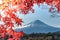 Mt Fuji in autumn behind the red maple tree from Lake Kawaguchi in Yamanashi