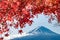 Mt Fuji in autumn behind the red maple tree from Lake Kawaguchiko in Yamanashi
