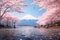 Mt Fuji and beautiful blooming cherry blossom woods by lake in Spring.