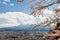 Mt. fuji in cherry blossom sakura in spring season on the sky background,the most famous place in Japan