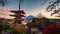 Mt. Fuji and Chureito Pagoda and red leaf in the autumn on sunset at Fujiyosh