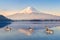 Mt Fuji in the early morning