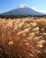 Mt. Fuji in Fall