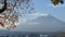 Mt. Fuji with fall colors in Japan.