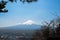 Mt. Fuji Fujisan behind the forest