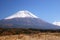 Mt. Fuji with Japanese silver grass