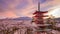 Mt. Fuji and Pagoda in Spring