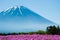 Mt.Fuji with pink Shibazakura field