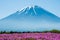 Mt.Fuji with pink Shibazakura field