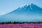 Mt.Fuji with pink Shibazakura field