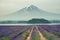 Mt.fuji and purple color of lavender at lake Kawaguchiko
