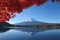 Mt.Fuji reflect to the lake in autumn