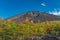 Mt.Fuji`s peak with blue sky and pine trees in early autumn