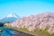 Mt. Fuji with sakura at Urui river in Springtime, Japan