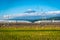 Mt. Fuji with Shinkansen train and rice field at Shizuoka, Japan