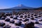 Mt. Fuji with snowy scenery from Oishi Park in Lake Kawaguchi Japan