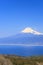 Mt. Fuji and Suruga bay