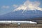 Mt Fuji and Tokaido Shinkansen