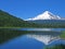 Mt. Hood above Trillium Lake