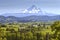 Mt. Hood and Hood River Valley Oregon.