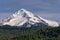 Mt Hood from Lolo Pass in Oregon 1