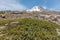 Mt. Hood and skiing trail