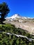 Mt.hood on a summer day