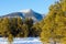 Mt. Humphreys in the winter with snow on top and snow in the foreground, Flagstaff, Arizona