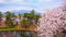 Mt. Iwaki with Full bloom Sakura - Cherry Blossom at Hirosaki park in Japan