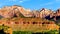 Mt. Kinesava and The West Temple in Zion National Park in Utah, USA