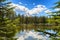 Mt. Mcloughlin reflecting in marsh waters