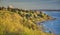 Mt. Rainier above Golden Foliage and Puget Sound