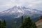 Mt. Rainier, with conifer forest