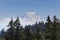 Mt.Rainier viewed through Tree Tops