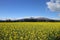 Mt Ruapehu, New Zealand