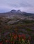 Mt St Helens