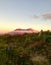 Mt. St. Helens sunset