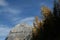 Mt Stephen, Yellow aspens & mountains